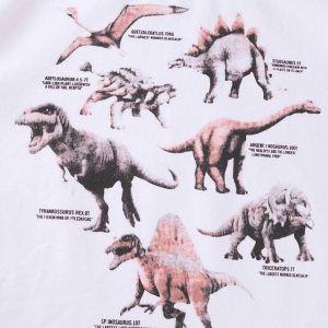 Y2K Aesthetic Dinosaurs Tee: Cute Tops for Grunge & Coquette Styles